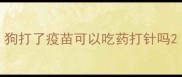 狗打了疫苗可以吃药打针吗