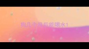 狗几个月后能喝水