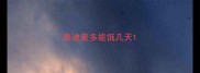 泰迪最多能饿几天