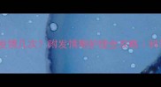 泰迪犬一年发情几次附发情期护理全攻略科学养宠必看