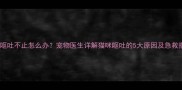 幼猫呕吐不止怎么办宠物医生详解猫咪呕吐的5大原因及急救指南