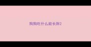 狗狗吃什么能长胖