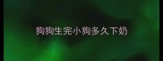 狗狗生完小狗多久下奶