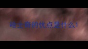 哈士奇的优点是什么
