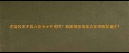 边境牧羊犬能不能天天吃鸡肉权威喂养指南及营养搭配建议