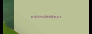 长春宠物学校哪家好