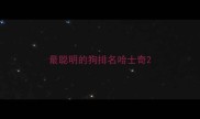 最聪明的狗排名哈士奇