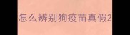 怎么辨别狗疫苗真假