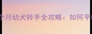 狗狗换主人必看10个月幼犬转手全攻略如何平稳过渡避免应激反应