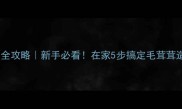 泰迪犬修剪全攻略新手必看在家5步搞定毛茸茸造型