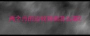 两个月的边牧狗狗怎么喂