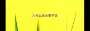 为什么哈士奇不走