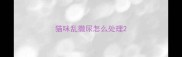 猫咪乱撒尿怎么处理