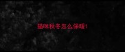 猫咪秋冬怎么保暖