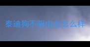 泰迪狗不驱虫会怎么样