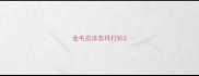 金毛应该怎样打针