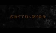 疫苗打了狗大便特别多