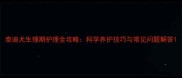 泰迪犬生理期护理全攻略科学养护技巧与常见问题解答