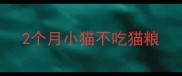 2个月小猫不吃猫粮