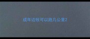 成年边牧可以跑几公里