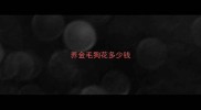 养金毛狗花多少钱