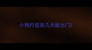 小狗打疫苗几天能出门