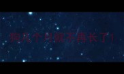 狗几个月就不再长了