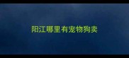 阳江哪里有宠物狗卖