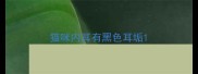 猫咪内耳有黑色耳垢