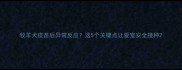 牧羊犬疫苗后异常反应这5个关键点让爱宠安全接种