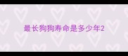 最长狗狗寿命是多少年
