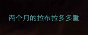 两个月的拉布拉多多重