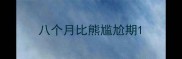 八个月比熊尴尬期