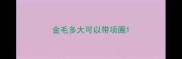 金毛多大可以带项圈