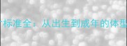 拉布拉多幼犬尺寸标准全从出生到成年的体型变化与饲养指南
