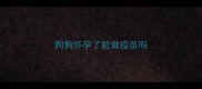 狗狗怀孕了能做疫苗吗