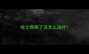 哈士奇病了该怎么治疗