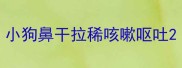 小狗鼻干拉稀咳嗽呕吐