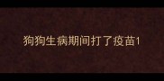 狗狗生病期间打了疫苗