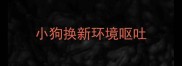 小狗换新环境呕吐