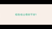 棕色哈士奇好不好