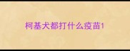 柯基犬都打什么疫苗