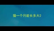猫一个月能长多大