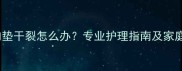 冬季猫咪肉垫干裂怎么办专业护理指南及家庭急救方案