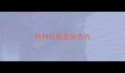 狗狗拉稀是绿色的