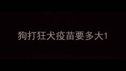 狗打狂犬疫苗要多大