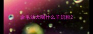 金毛幼犬喝什么羊奶粉