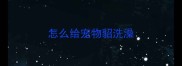 怎么给宠物貂洗澡