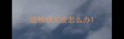 边牧幼犬皮怎么办