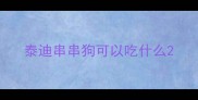 泰迪串串狗可以吃什么